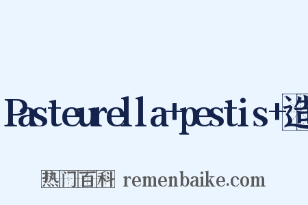 Pasteurella+pestis+造句是什么意思的图片